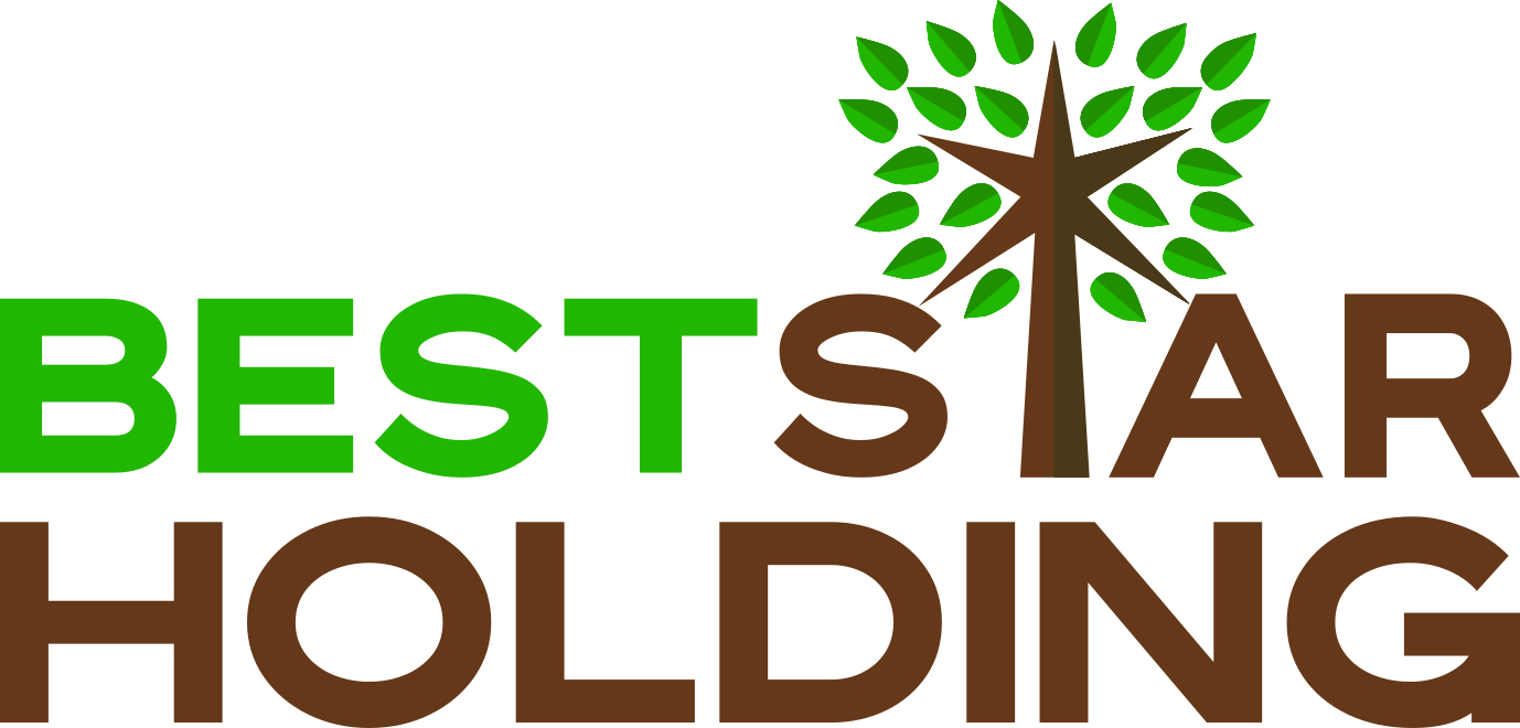 Team Beststar Beststar Holding