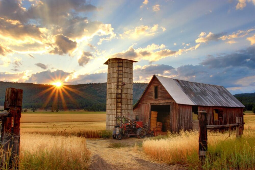 A barn and grain silo at sunset on an open field